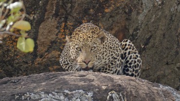 Kidepo Valley National Park