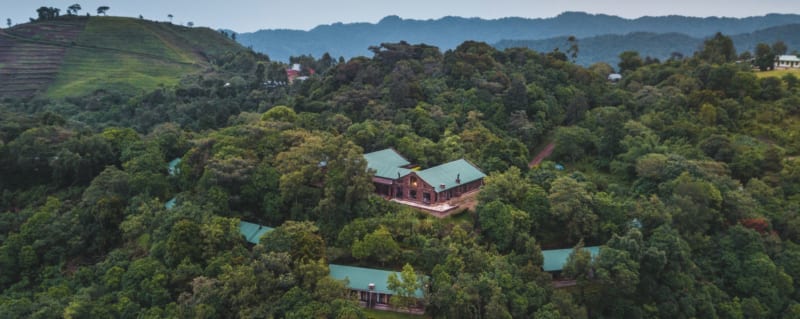 10 Lodges That Will Make Your Gorilla Trekking in Uganda Unforgettable