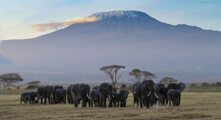 3 DAYS AMBOSELI NATIONAL PARK