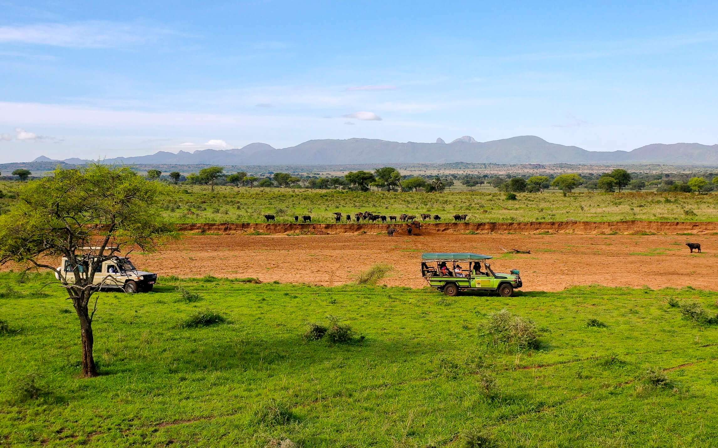 Explore Untouched Wilderness at Kidepo Valley National Park