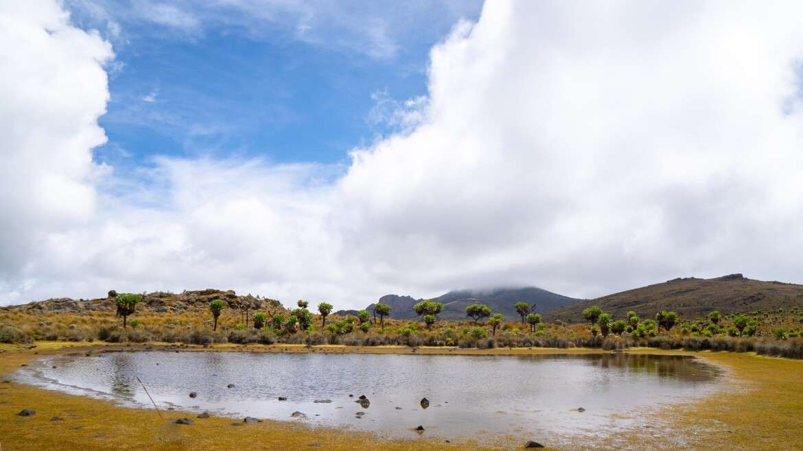 A Guide to Exploring the Marvels of Mountain Elgon National Park