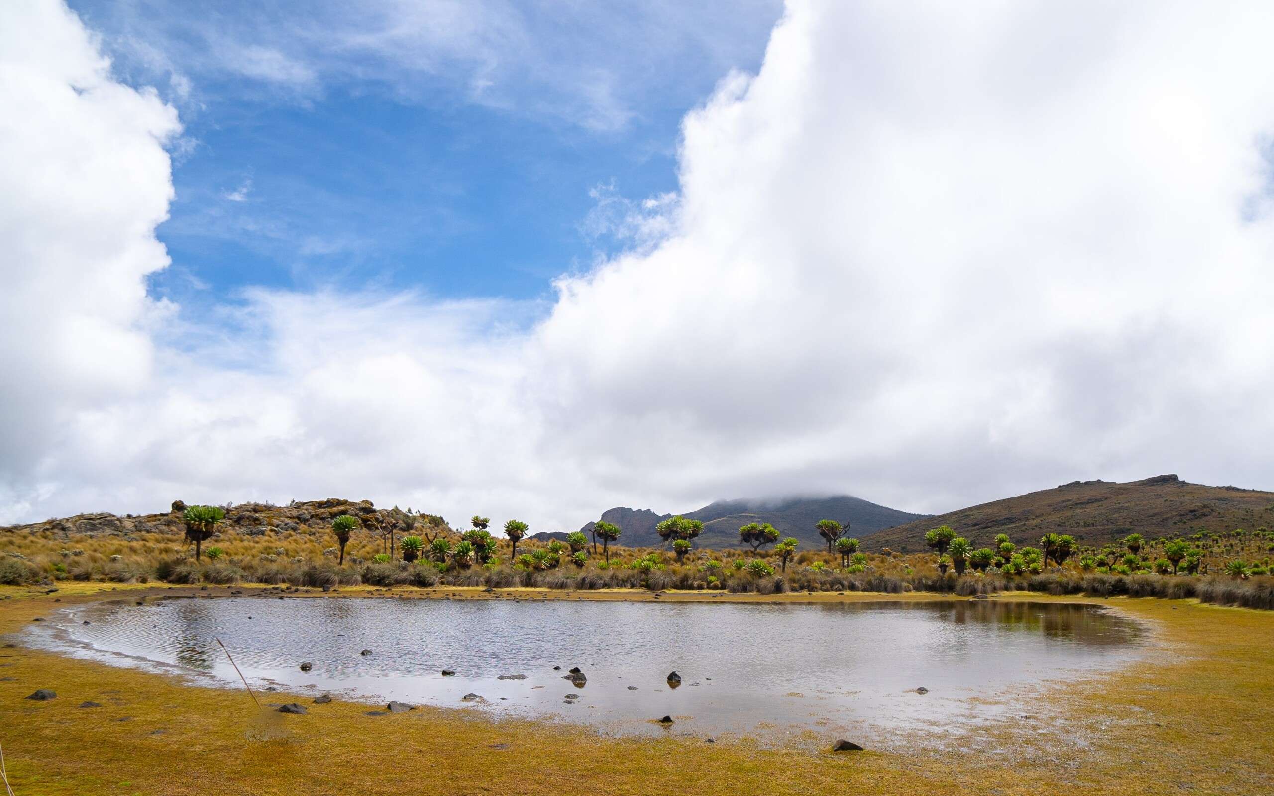 A Guide to Exploring the Marvels of Mountain Elgon National Park